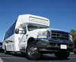 Maitland party bus