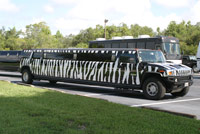 Zebra Hummer Limousine