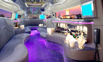Zebra Hummer Limousine