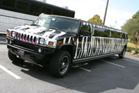 Rent Zebra Hummer